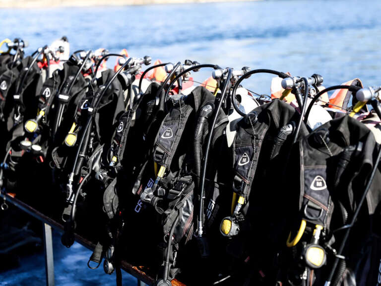 271311138_4593967404005275_4228340085342265901_n