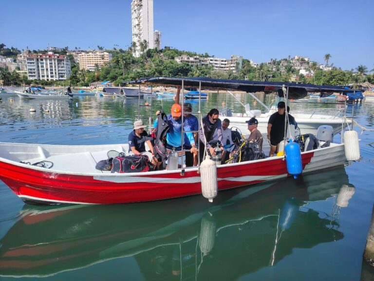 Imagen de WhatsApp 2025-10-16 a las 23.36.34_77527ad8